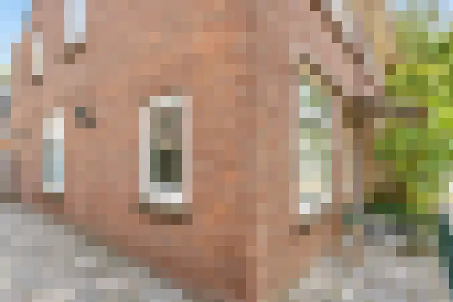 Nassaustraat 7 Velp thumbnail 8