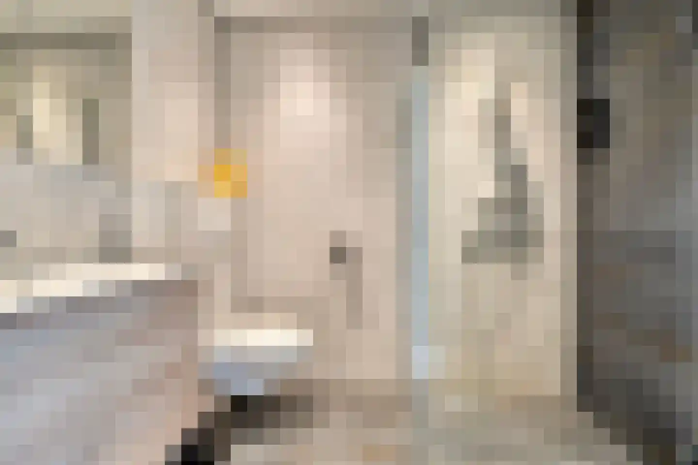 Nassaustraat 71 b Maarssen thumbnail 18