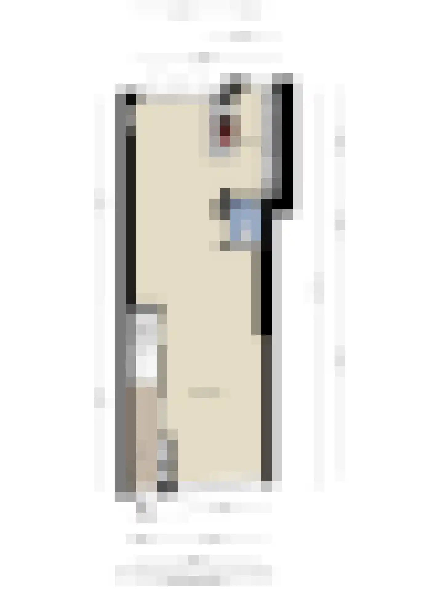 Nassaustraat 71 b Maarssen thumbnail 30