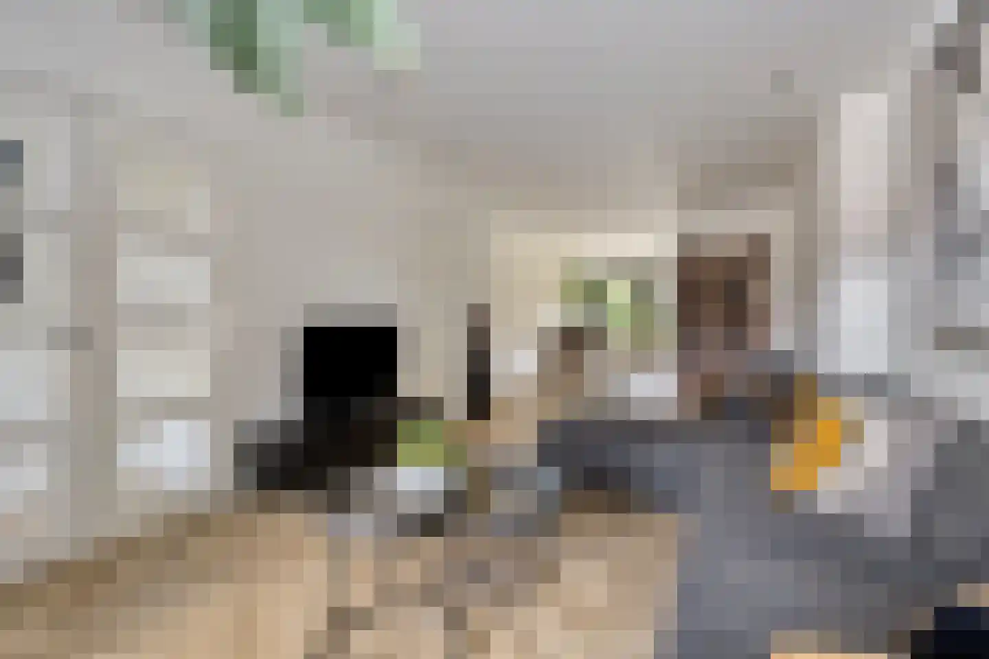 Nassaustraat 71 b Maarssen thumbnail 4