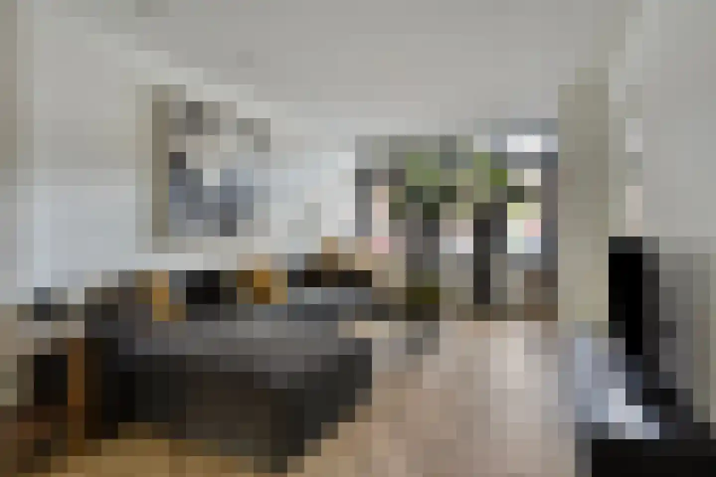 Nassaustraat 71 b Maarssen thumbnail 5