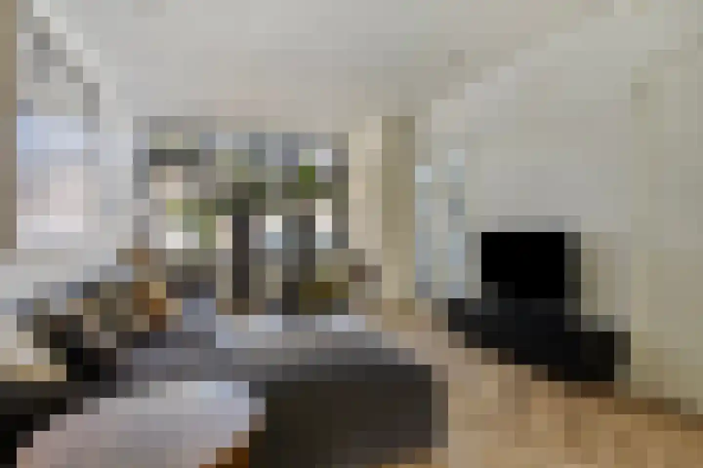Nassaustraat 71 b Maarssen thumbnail 6