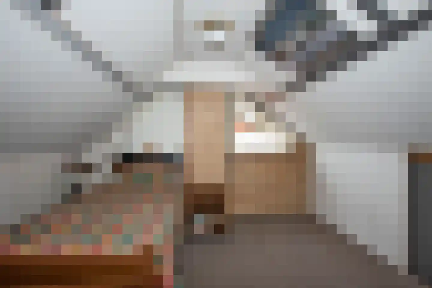 Nassaustraat 79 Rijssen thumbnail 20