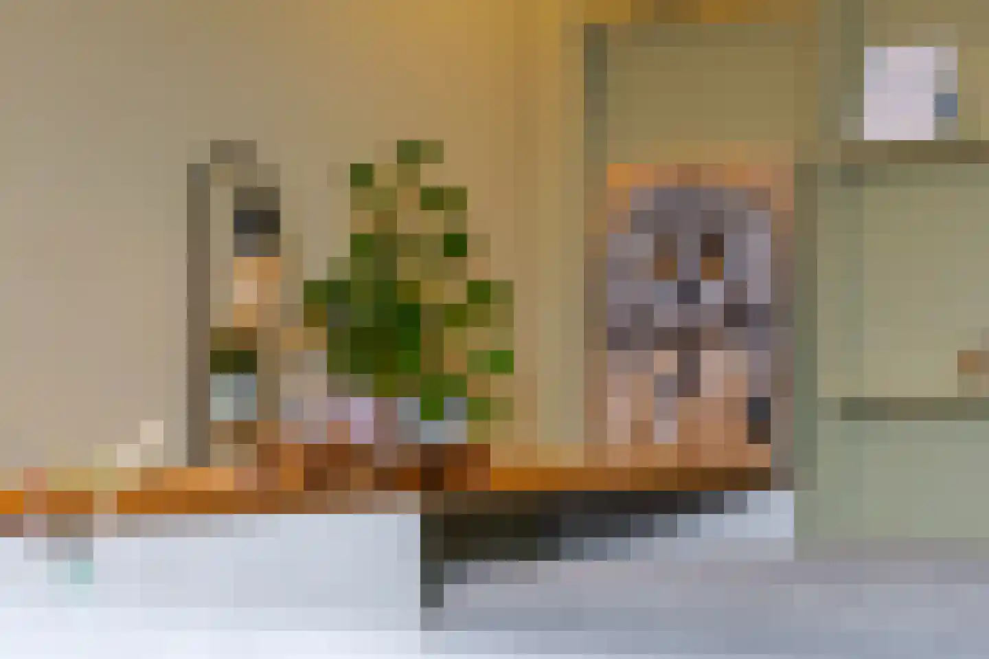 Nassaustraat 9 Ottoland thumbnail 9