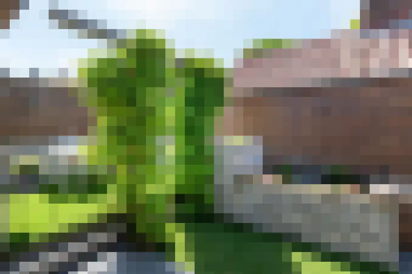 Nassaustraat 9 Rijssen thumbnail 17