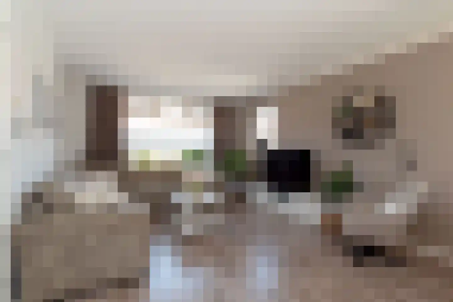 Nassaustraat 9 Rijssen thumbnail 22