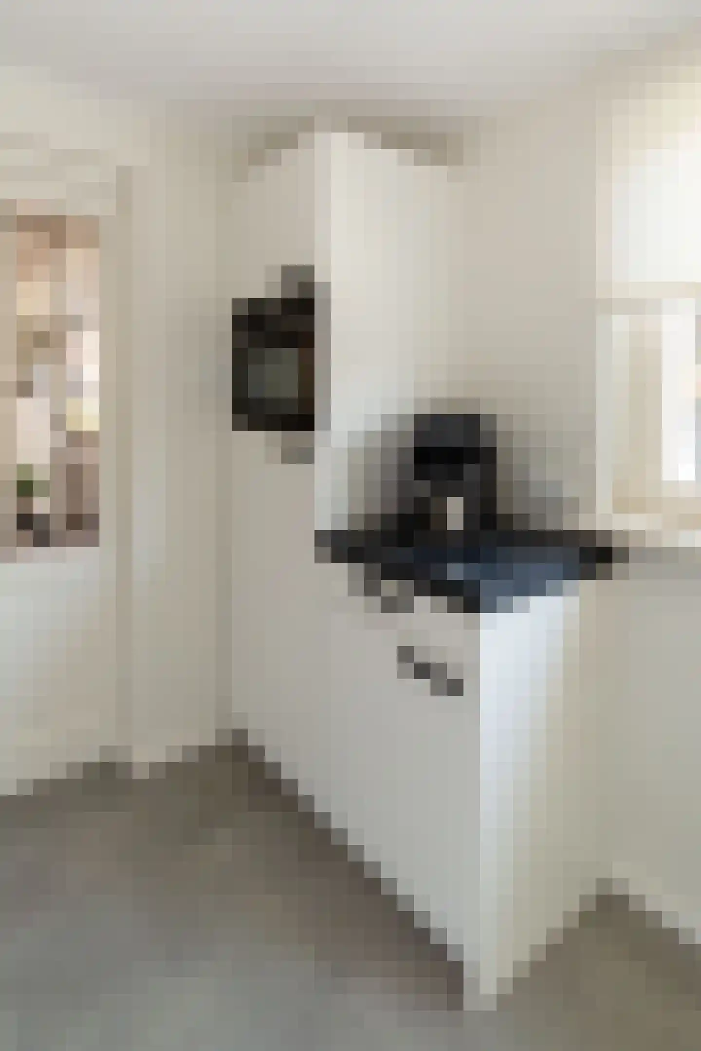Nassaustraat 9 Rijssen thumbnail 33