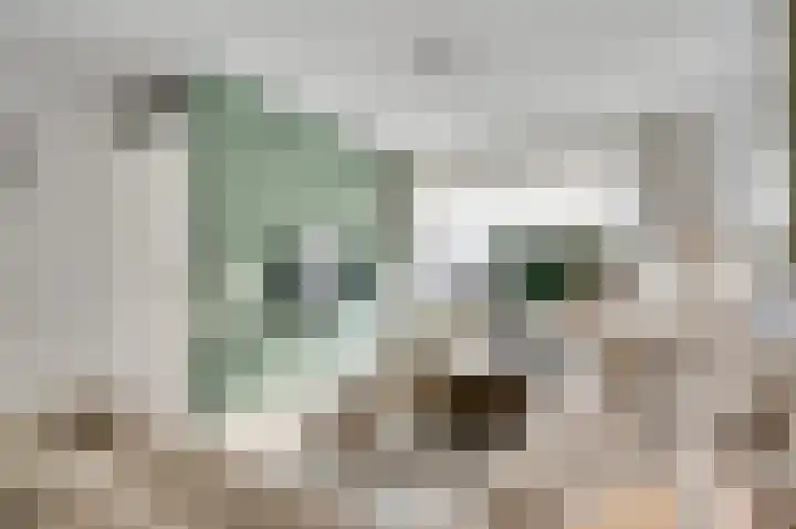 Nassaustraat 9 Roermond thumbnail 8