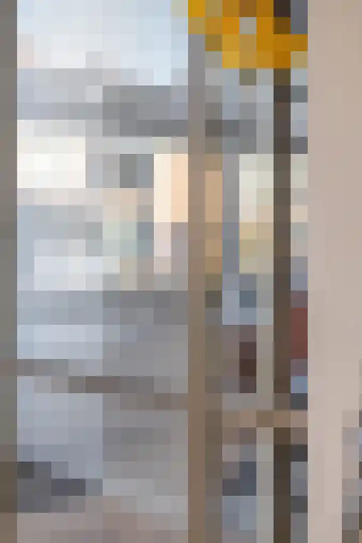 Nassaustraat 9 Terheijden thumbnail 22