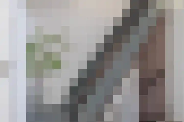 Nassaustraat 9 Terheijden thumbnail 24