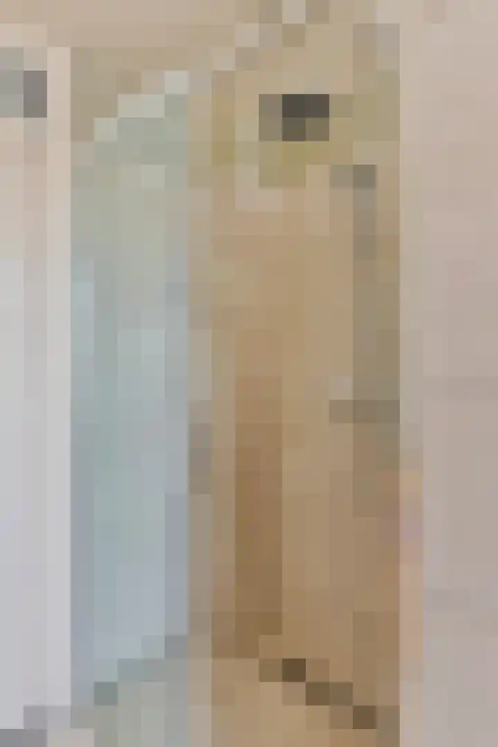Nassaustraat 9 Terheijden thumbnail 32