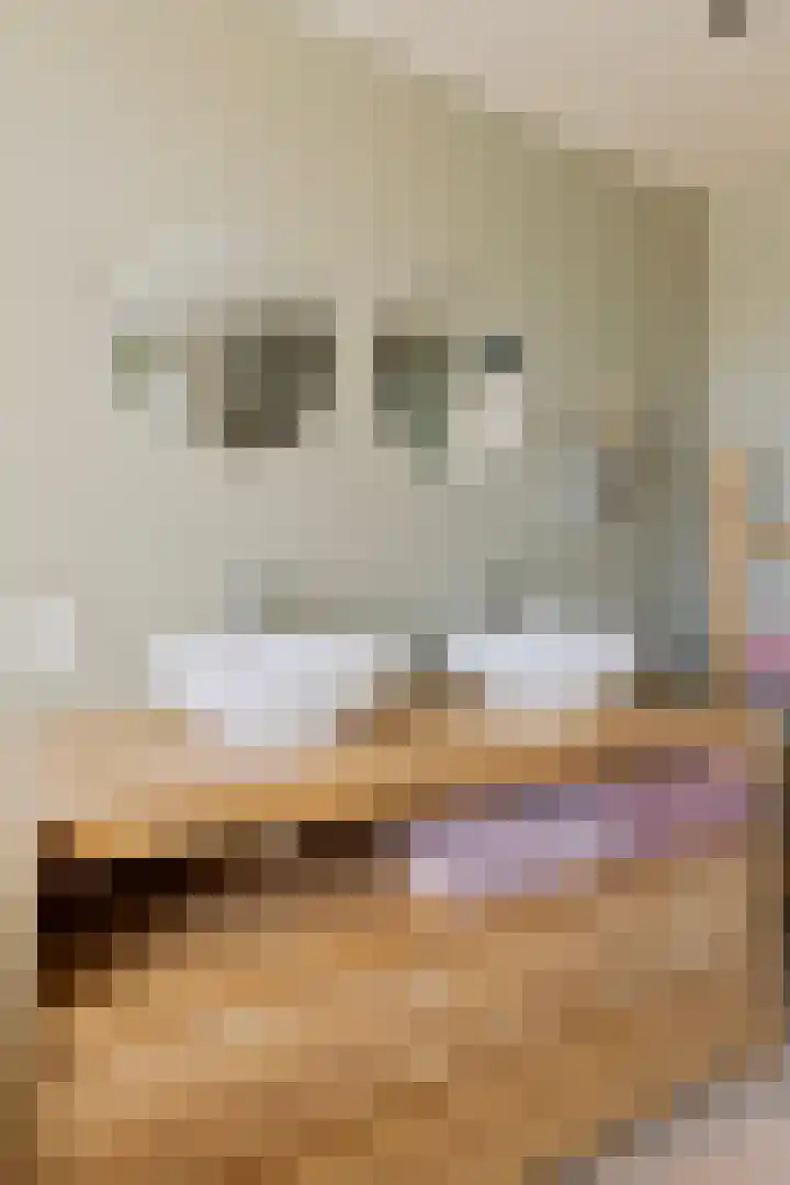Nassaustraat 9 Terheijden thumbnail 33