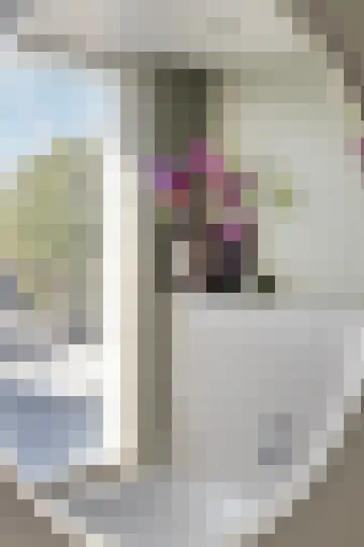 Nassaustraat 9 Terheijden thumbnail 34