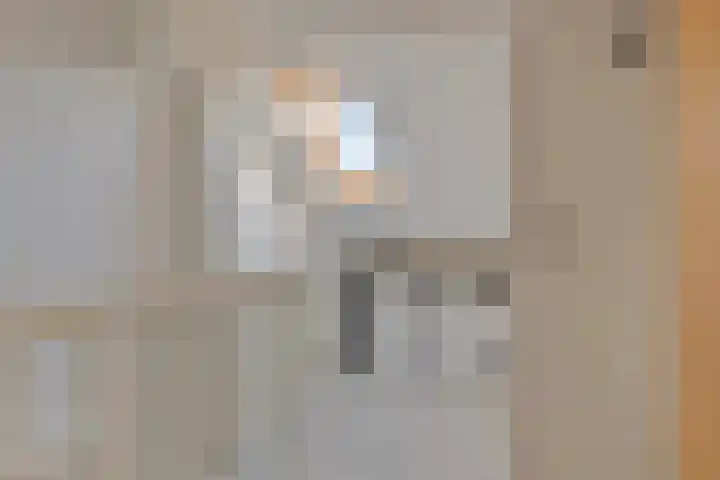 Nassaustraat 9 Terheijden thumbnail 39