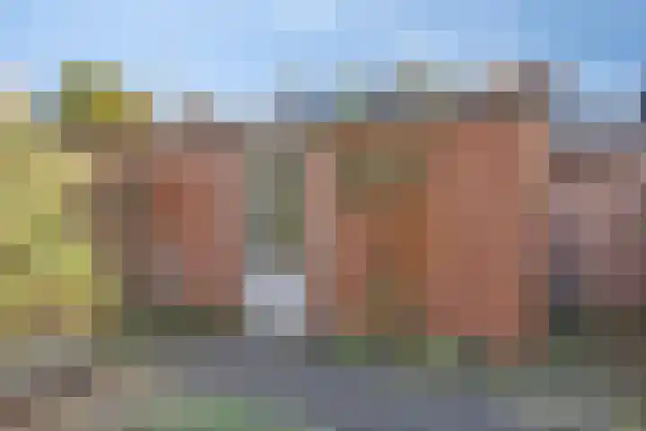 Nassaustraat 9 Terheijden thumbnail 47