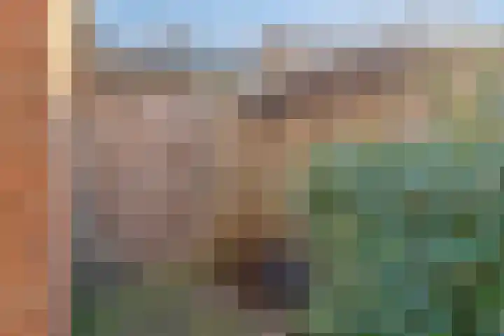 Nassaustraat 9 Terheijden thumbnail 48