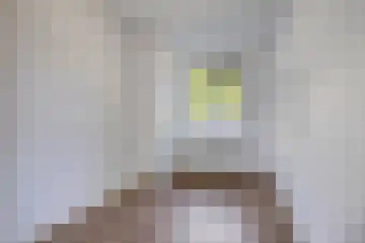 Nassaustraat 95 Tilburg thumbnail 17
