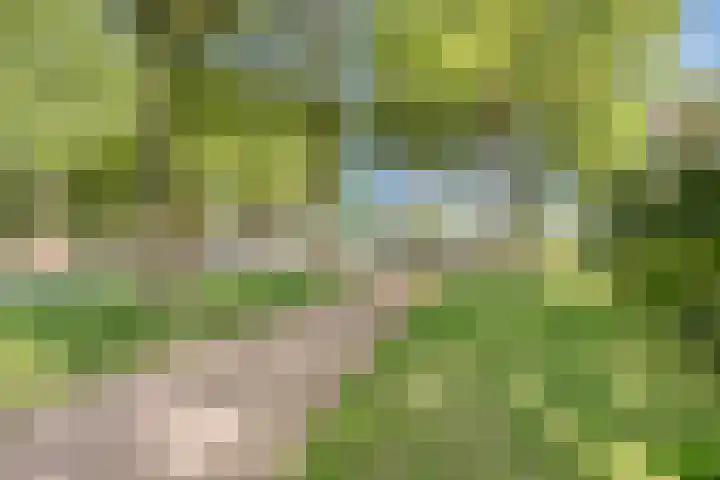 Nassaustraat 95 Tilburg thumbnail 32