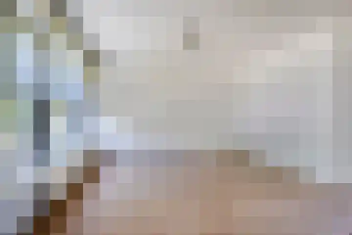 Nassaustraat 95 Tilburg thumbnail 9