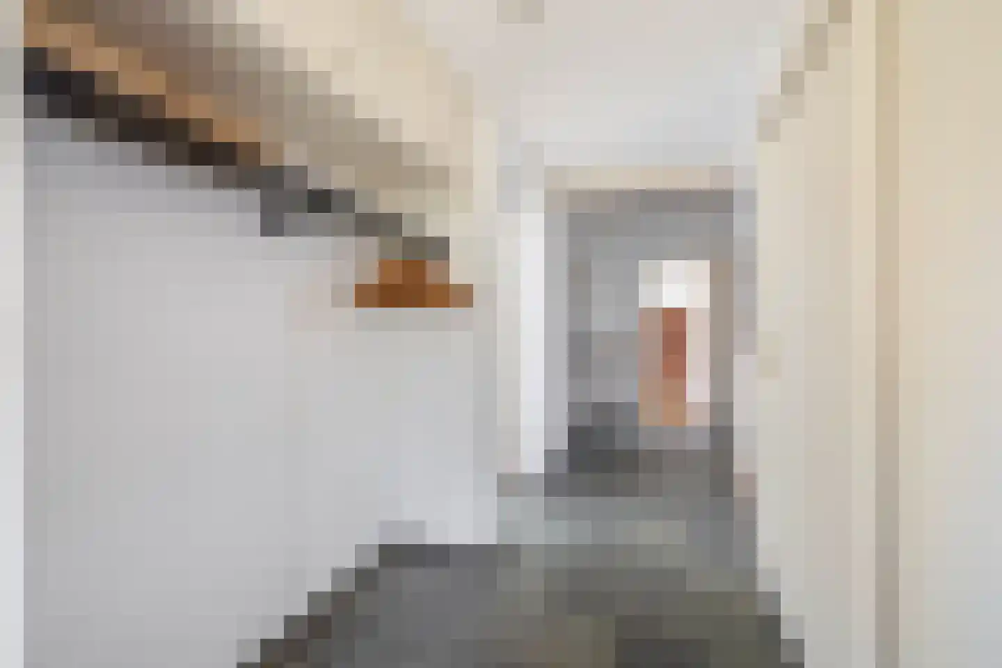 Nassauweg 2 Wageningen thumbnail 11