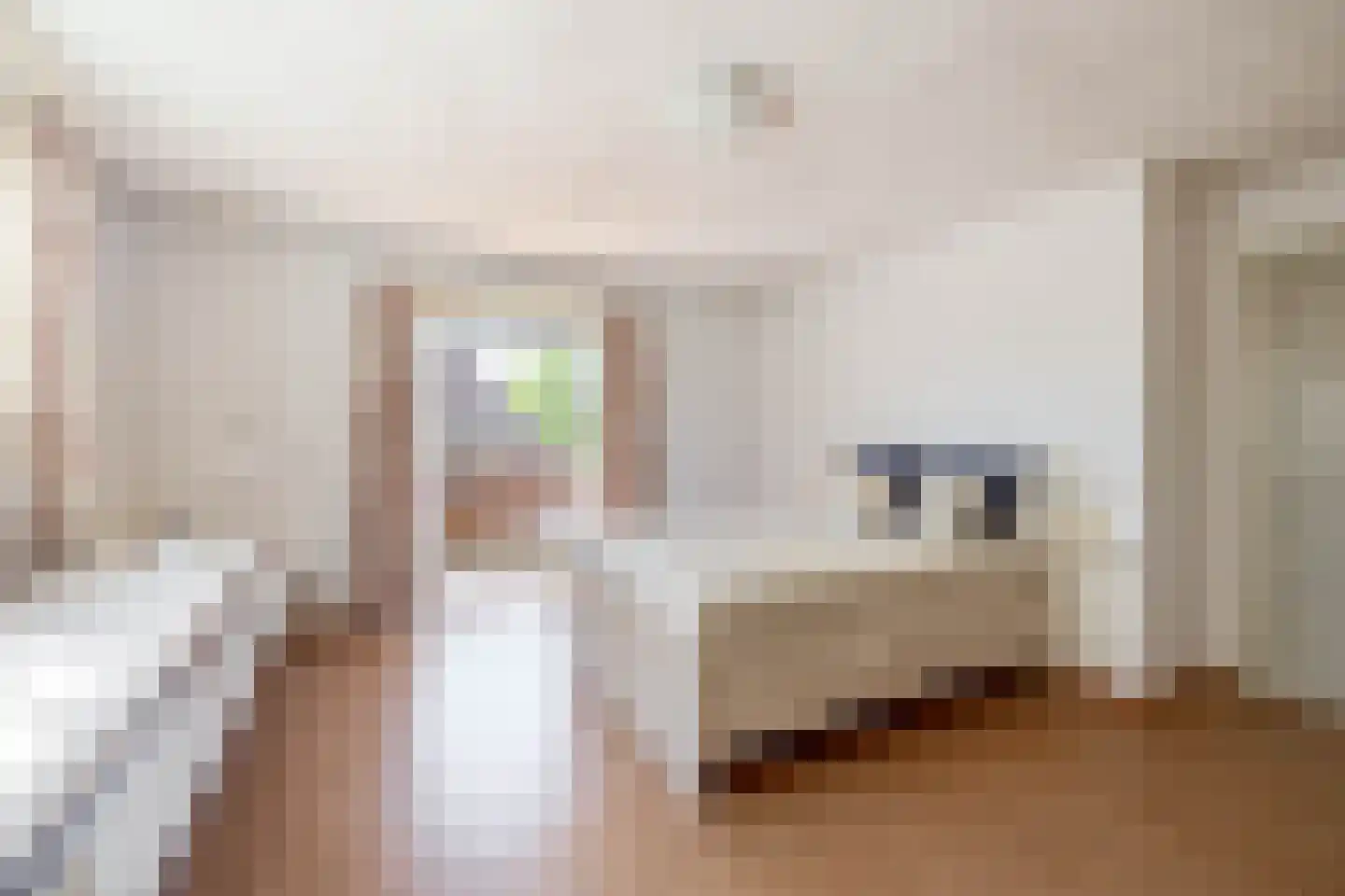 Nassauweg 2 Wageningen thumbnail 33