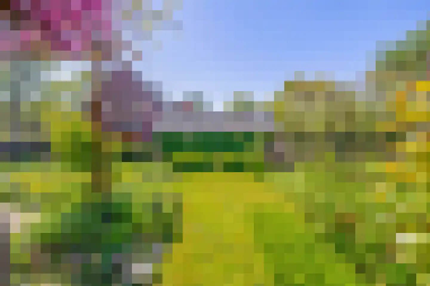Nassauweg 2 Wageningen thumbnail 51