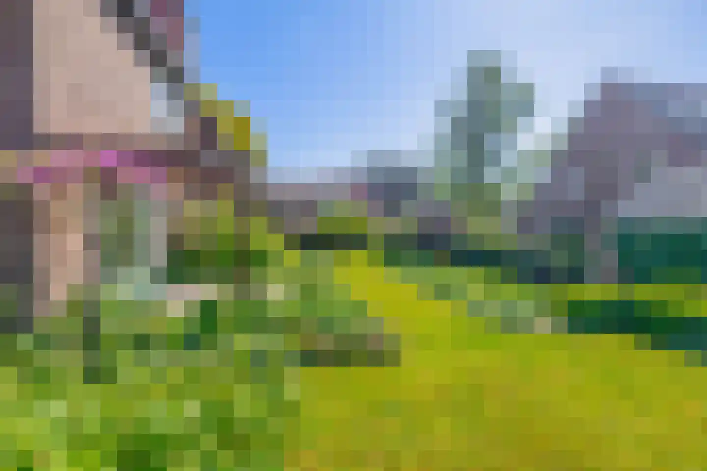 Nassauweg 2 Wageningen thumbnail 52