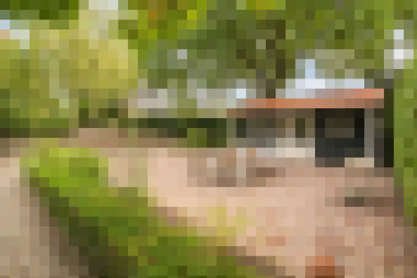 Nassauweg 8 Wageningen thumbnail 53