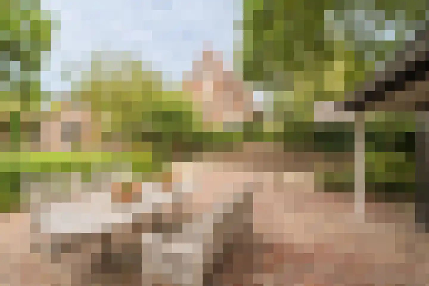 Nassauweg 8 Wageningen thumbnail 54
