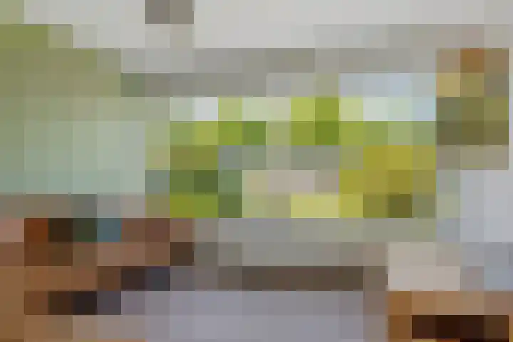 Nassauwyk 12 Kootstertille thumbnail 11