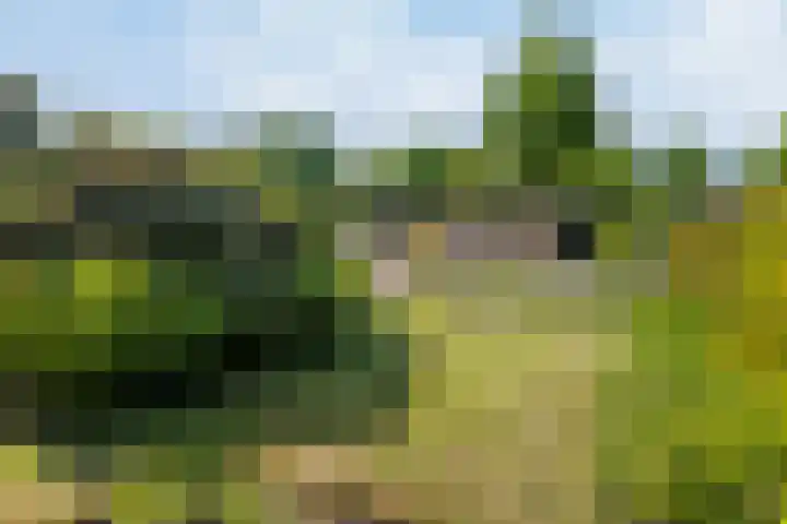 Nassauwyk 12 Kootstertille thumbnail 32