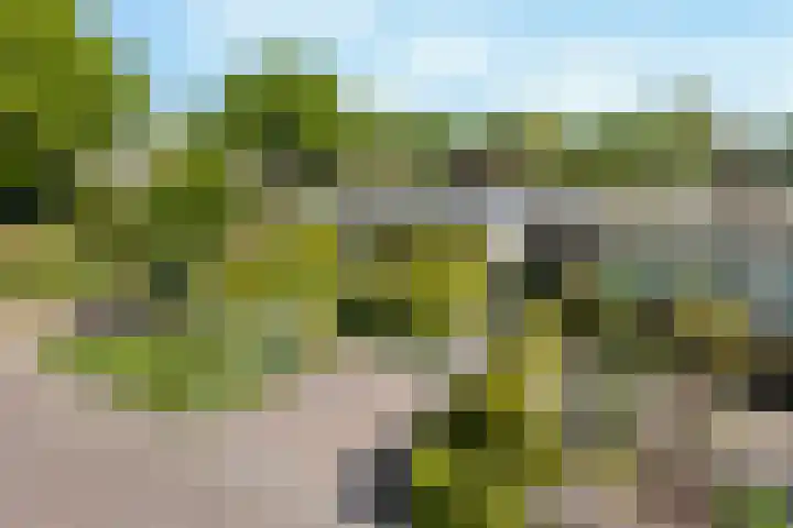 Nassauwyk 12 Kootstertille thumbnail 34