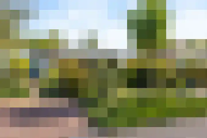 Nassauwyk 12 Kootstertille thumbnail 35