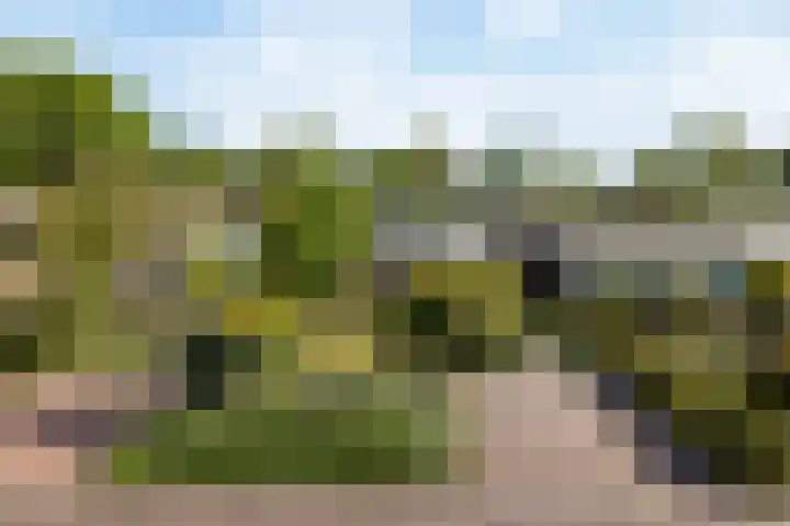 Nassauwyk 12 Kootstertille thumbnail 36