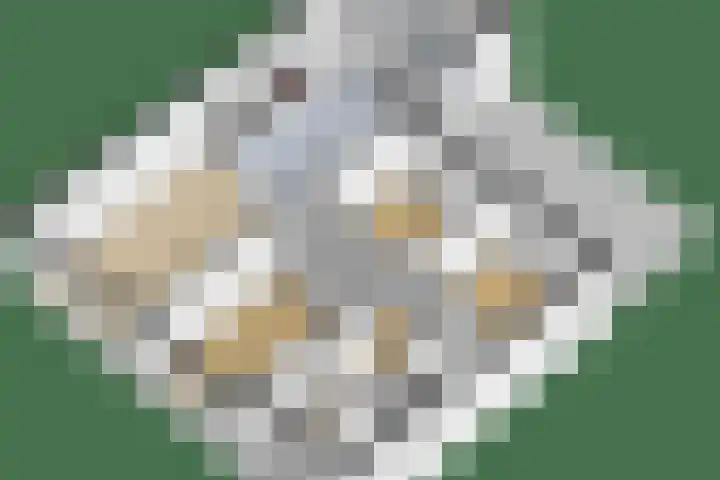 Nassauwyk 12 Kootstertille thumbnail 38