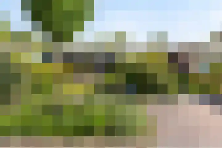 Nassauwyk 12 Kootstertille thumbnail 4