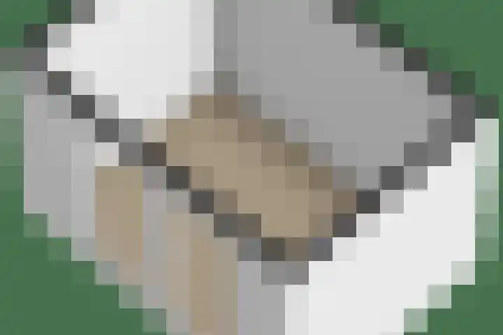Nassauwyk 12 Kootstertille thumbnail 40