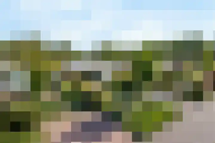 Nassauwyk 12 Kootstertille thumbnail 43