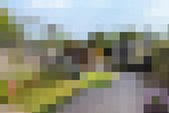 Nassauwyk 12 Kootstertille thumbnail 5
