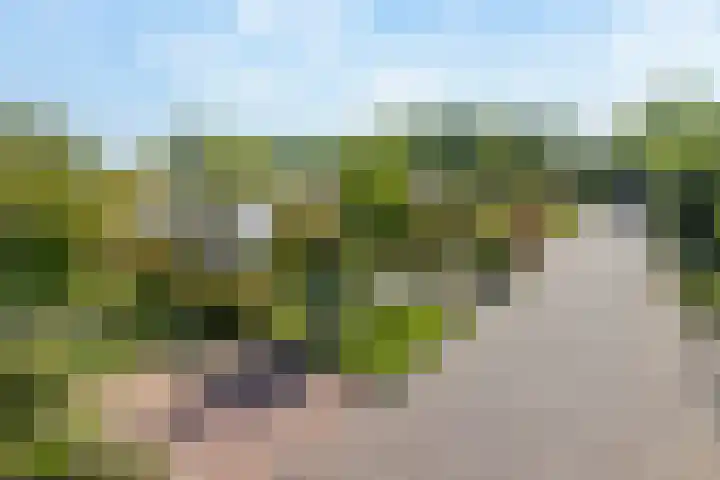 Nassauwyk 12 Kootstertille thumbnail 7