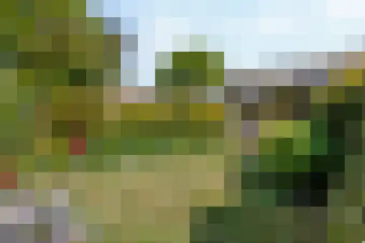 Nassauwyk 12 Kootstertille thumbnail 8