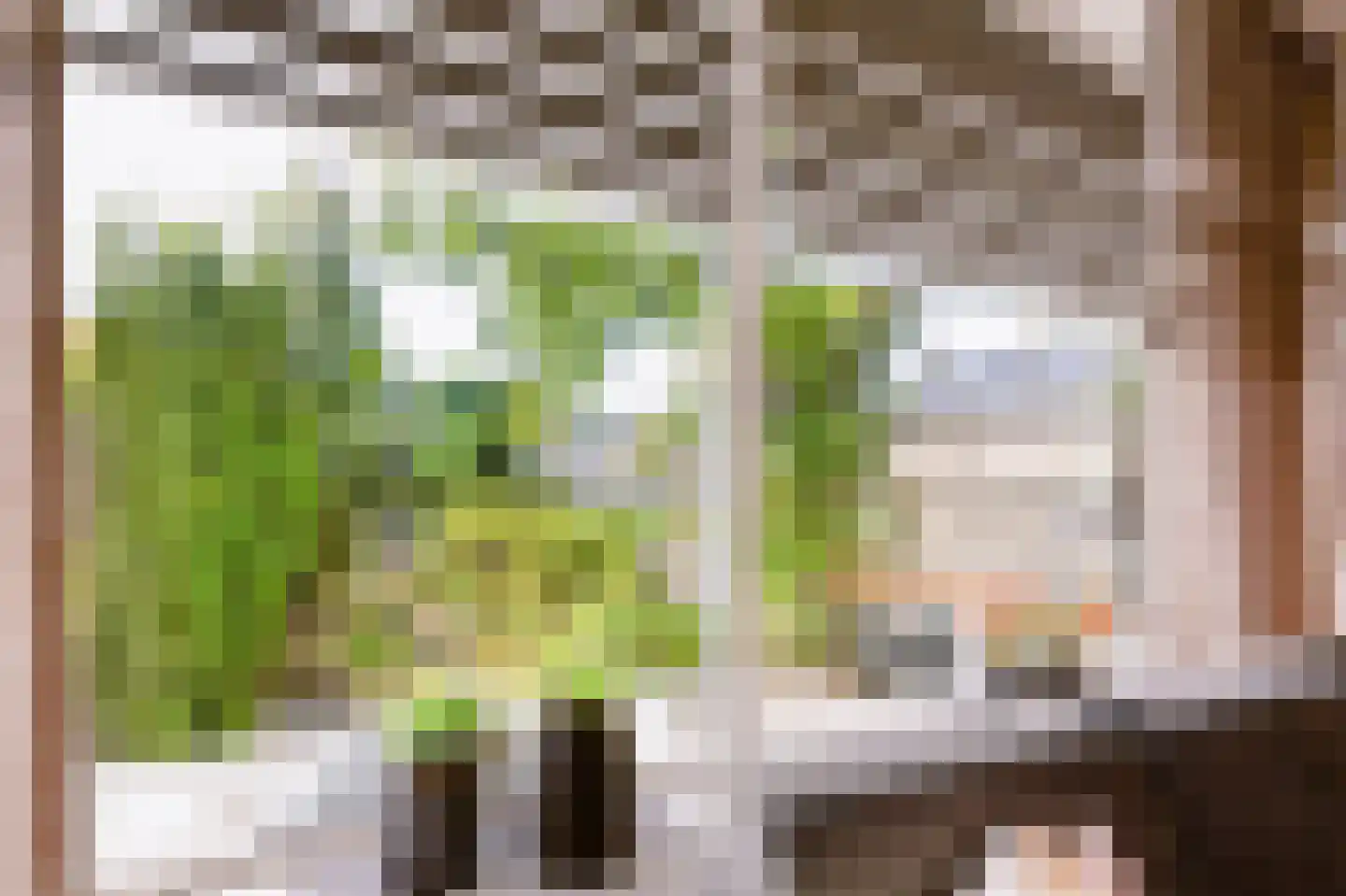 Nassauwyk 16 Kootstertille thumbnail 10