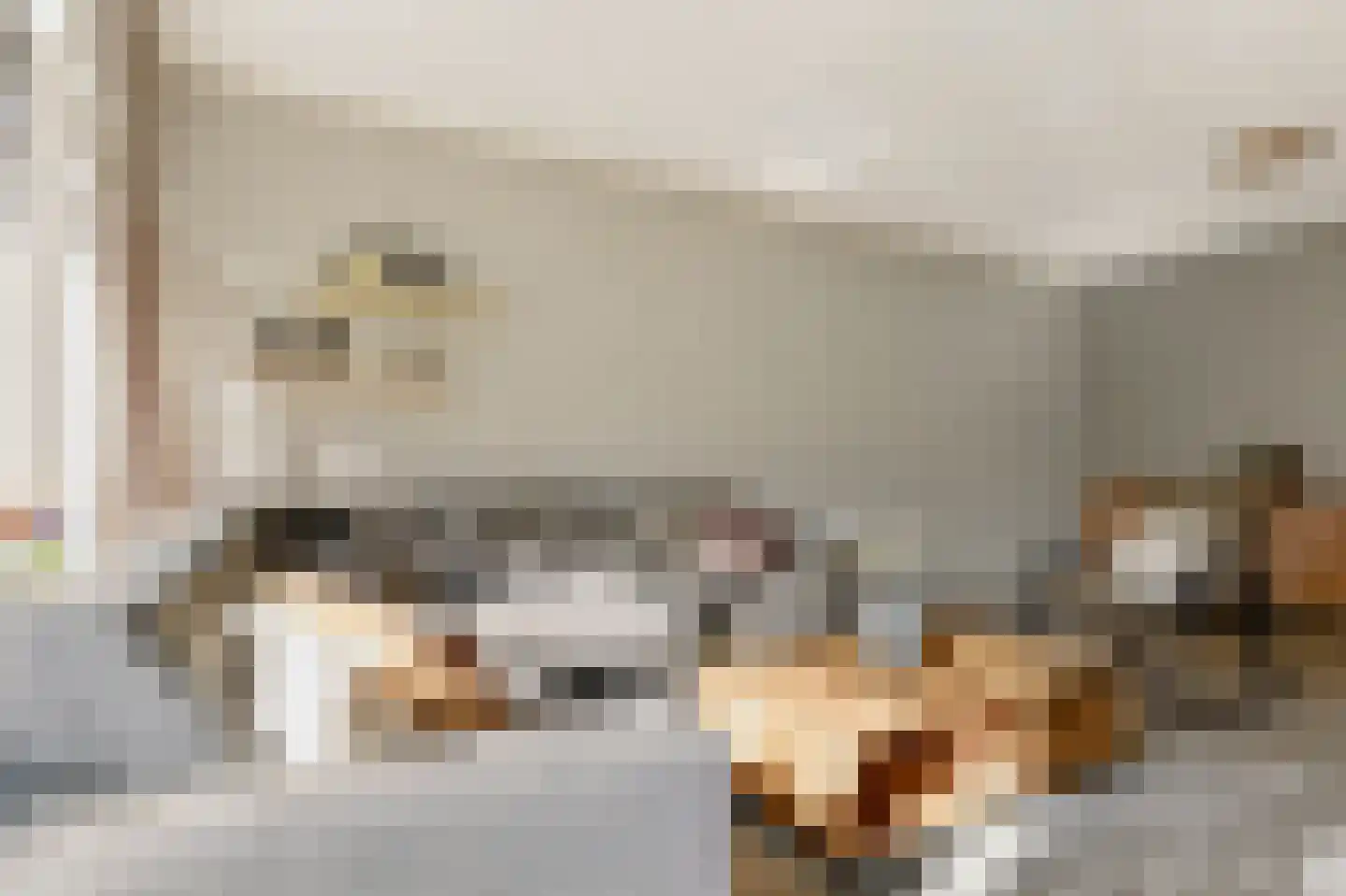 Nassauwyk 16 Kootstertille thumbnail 11