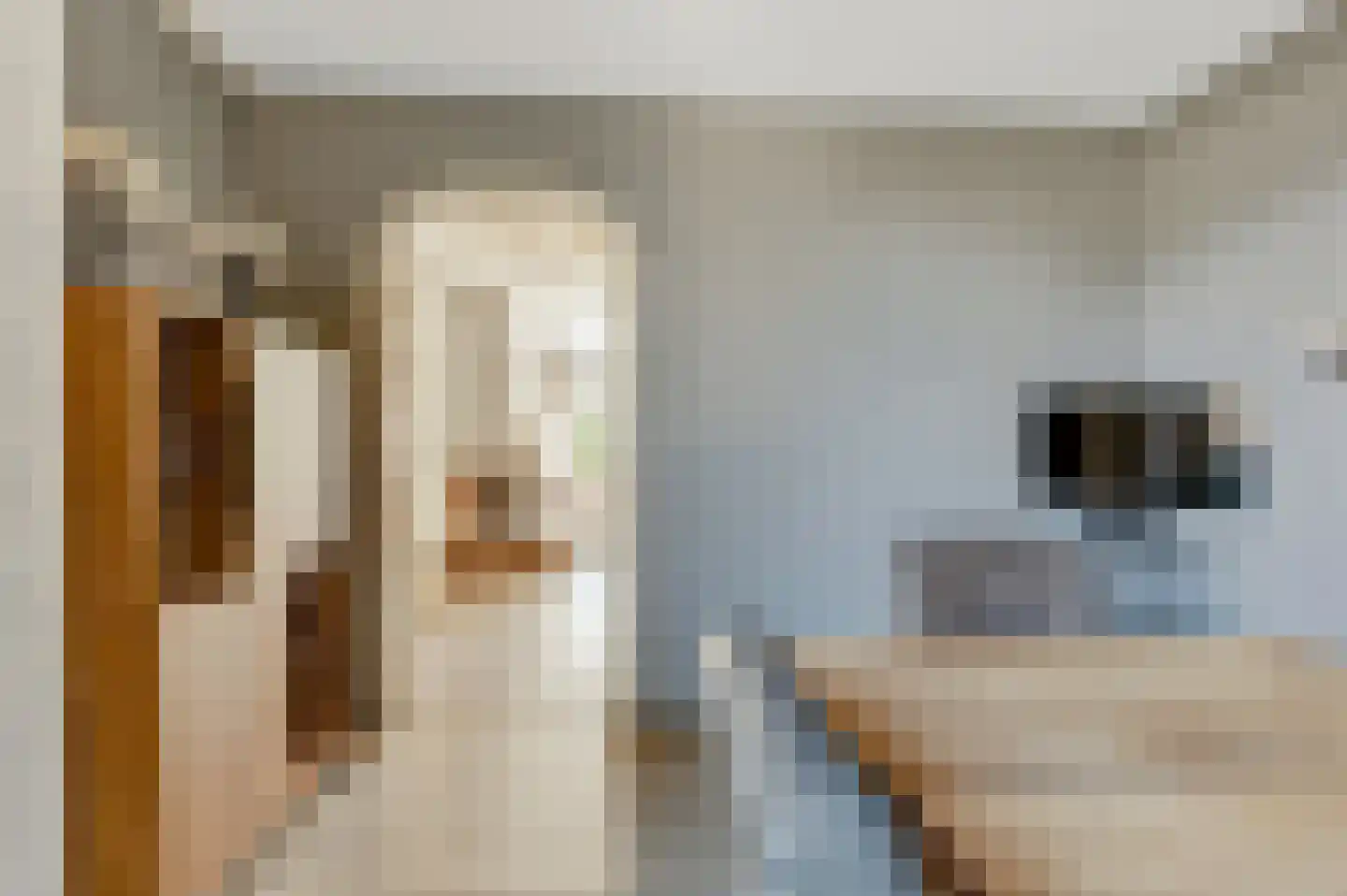 Nassauwyk 16 Kootstertille thumbnail 21