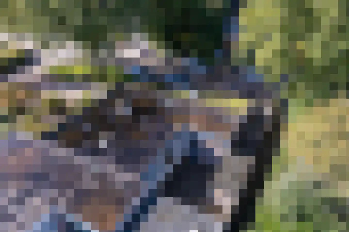 Nassauwyk 16 Kootstertille thumbnail 40