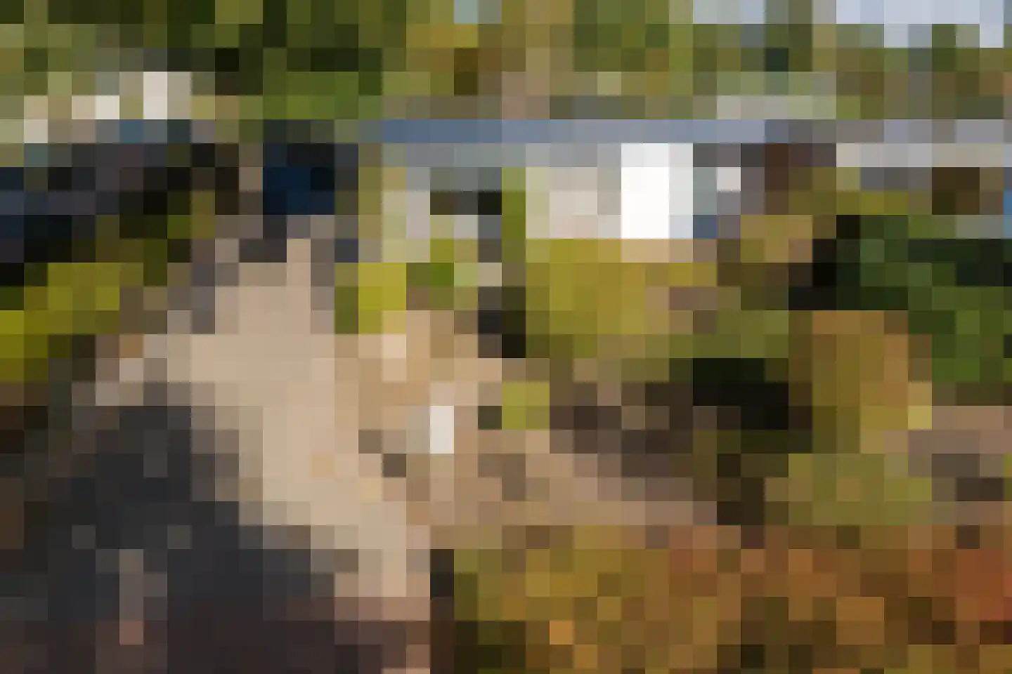Nassauwyk 16 Kootstertille thumbnail 41