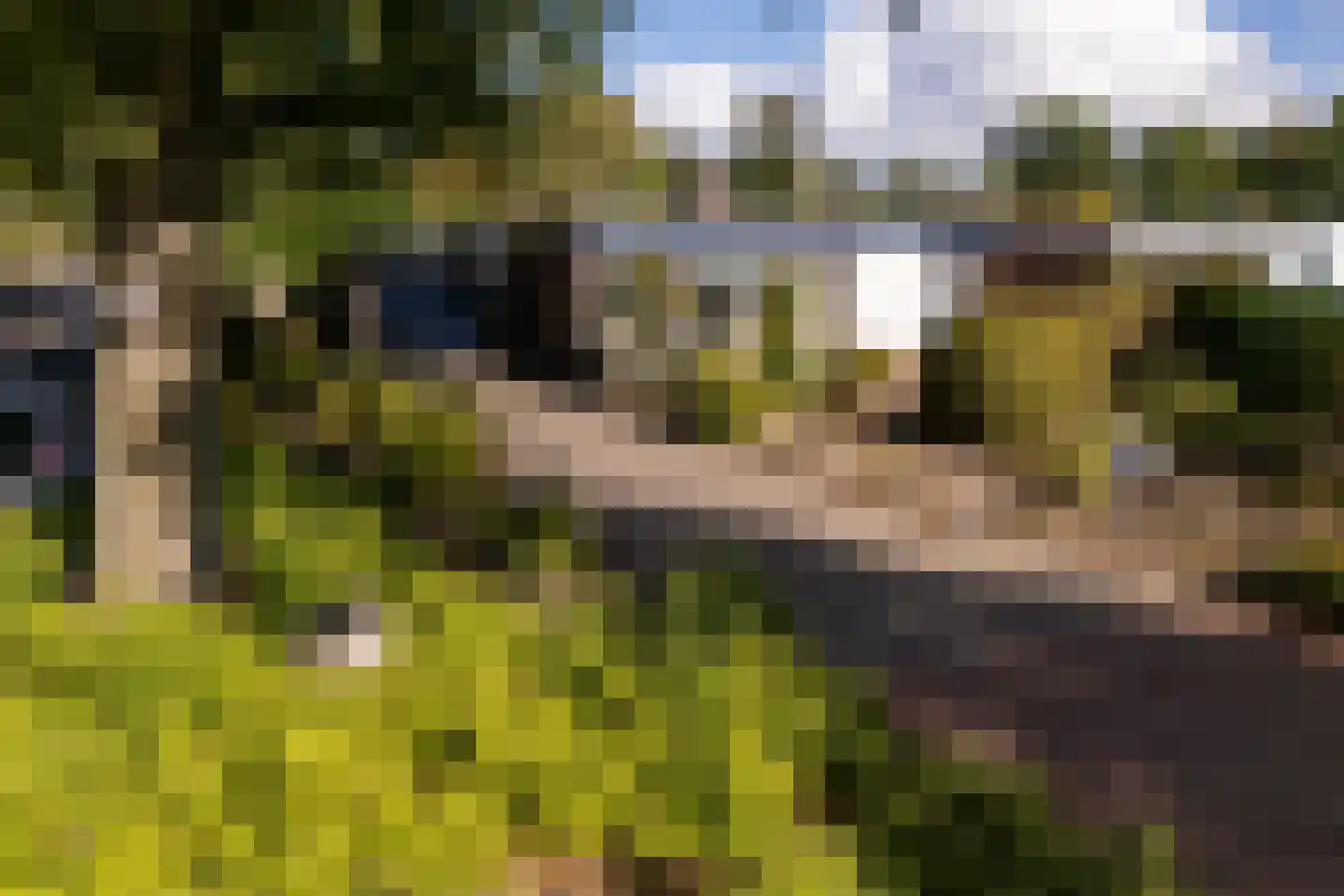 Nassauwyk 16 Kootstertille thumbnail 42