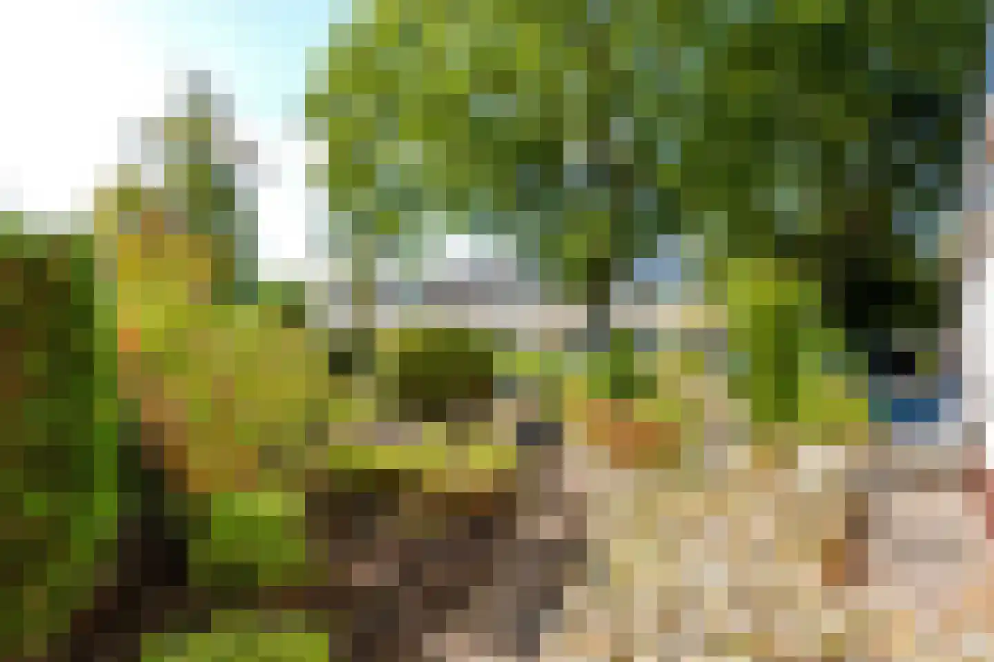 Nassauwyk 16 Kootstertille thumbnail 5