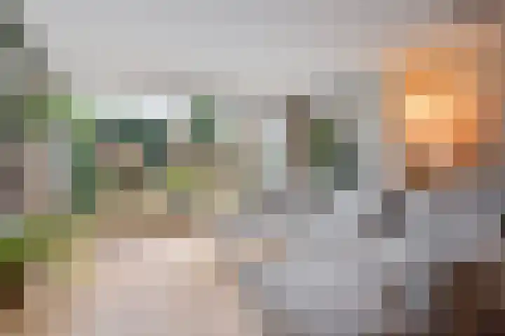 Nat King Colestraat 17 Zaandijk thumbnail 11
