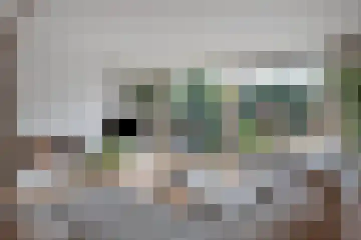 Nat King Colestraat 17 Zaandijk thumbnail 14